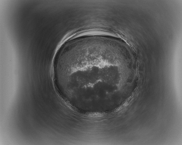 X0000116860198200912221145