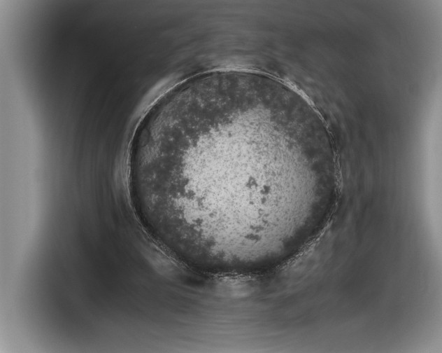 X0000116860199200912221145