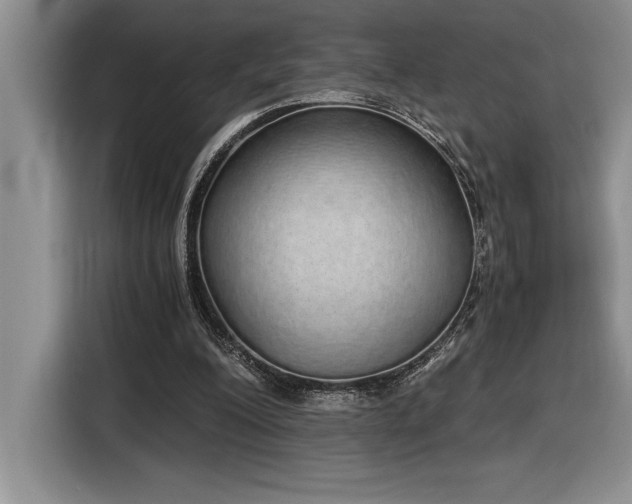 X0000116860200200912221145