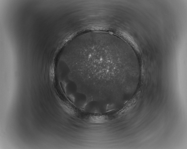 X0000116860202200912221145