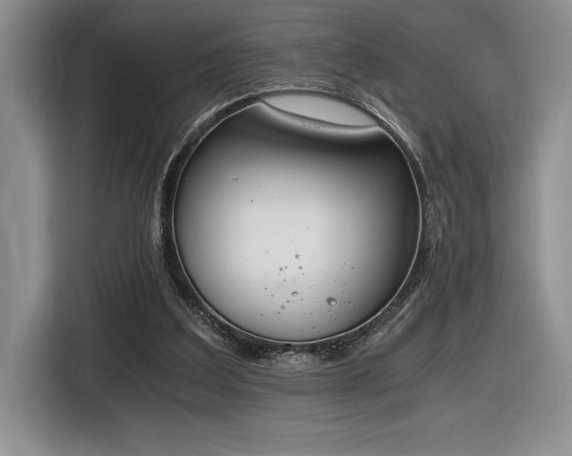 X0000116860203200912221145