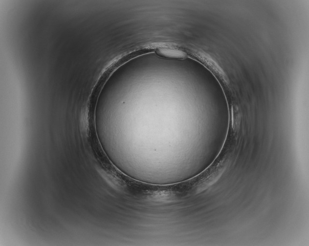 X0000116860204200912221145