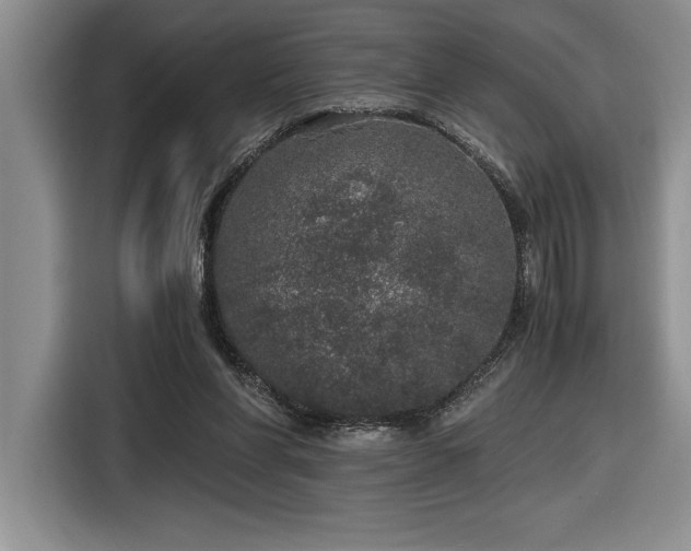X0000116860206200912221145