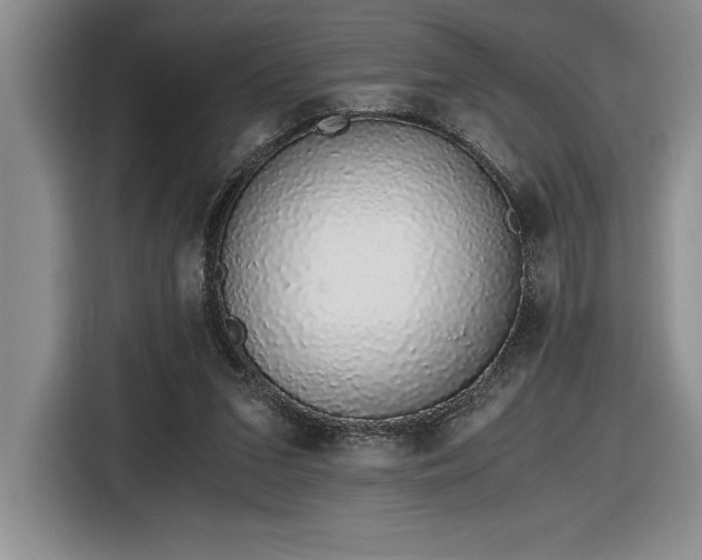 X0000116860207200912221145