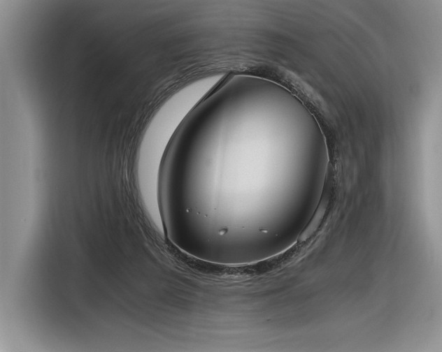 X0000116860209200912221145