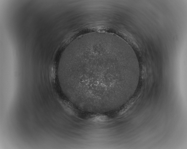 X0000116860210200912221145