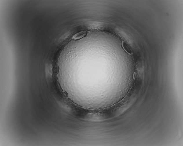 X0000116860211200912221145