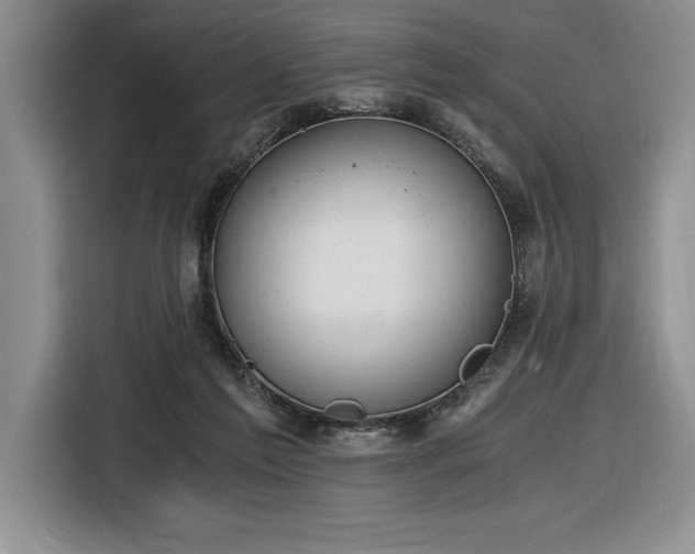 X0000116860213200912221145