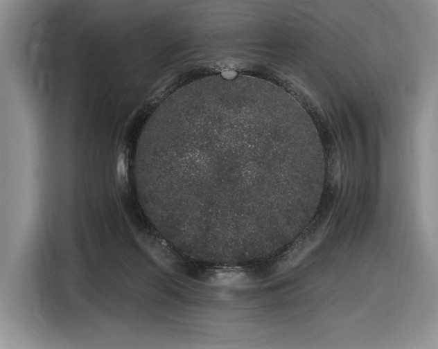 X0000116860214200912221145
