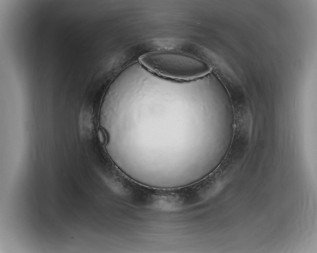 X0000116860215200912221145