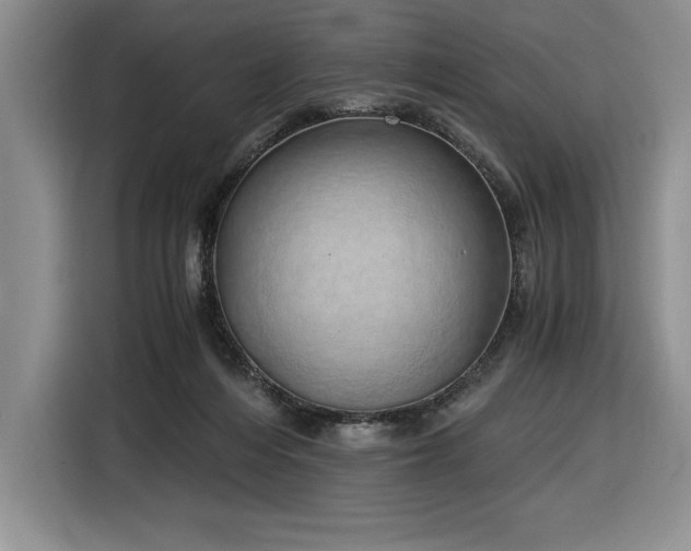 X0000116860216200912221145