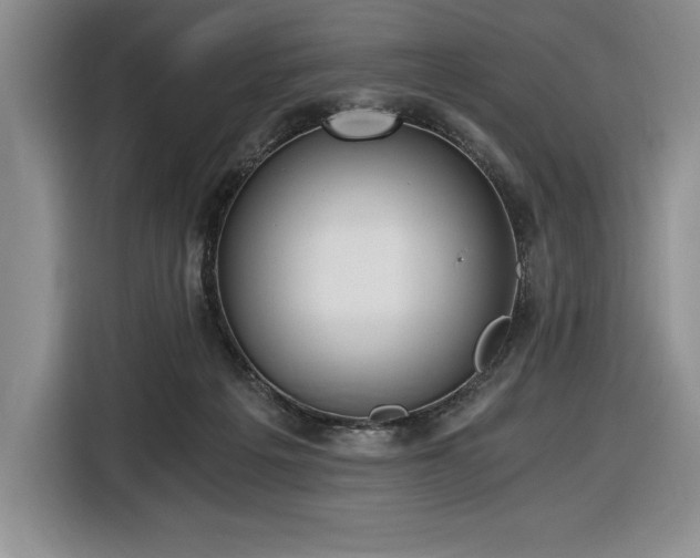 X0000116860217200912221145