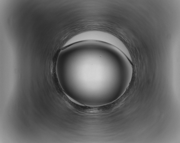 X0000116860219200912221145