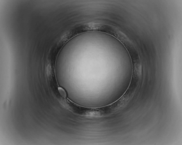 X0000116860220200912221145