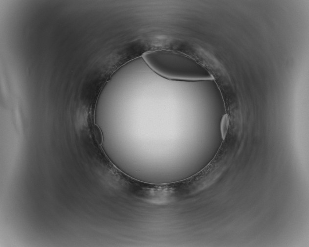 X0000116860225200912221145
