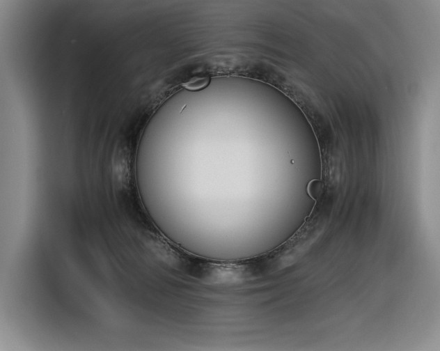 X0000116860226200912221145