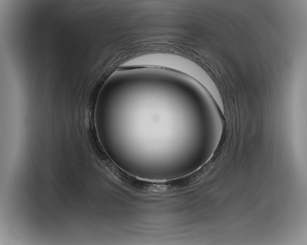 X0000116860227200912221145