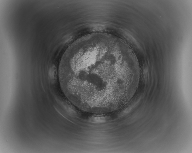 X0000116860228200912221145