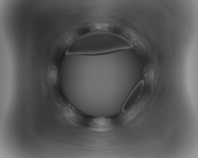 X0000116860231200912221145
