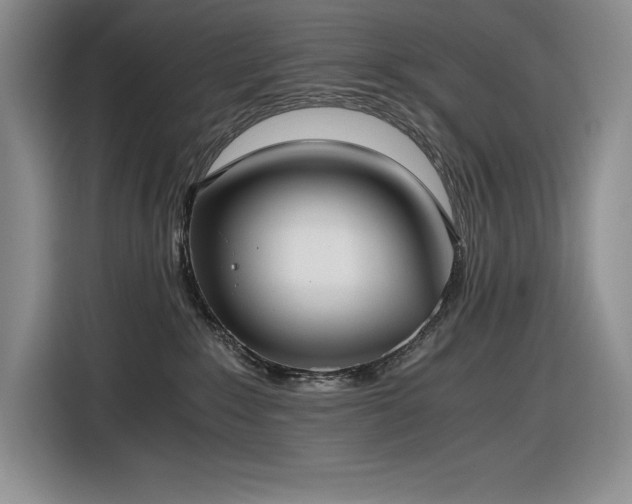 X0000116860235200912221145