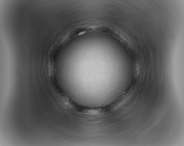 X0000116860236200912221145
