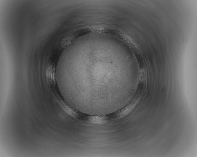 X0000116860238200912221145
