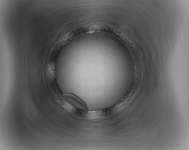 X0000116860240200912221145