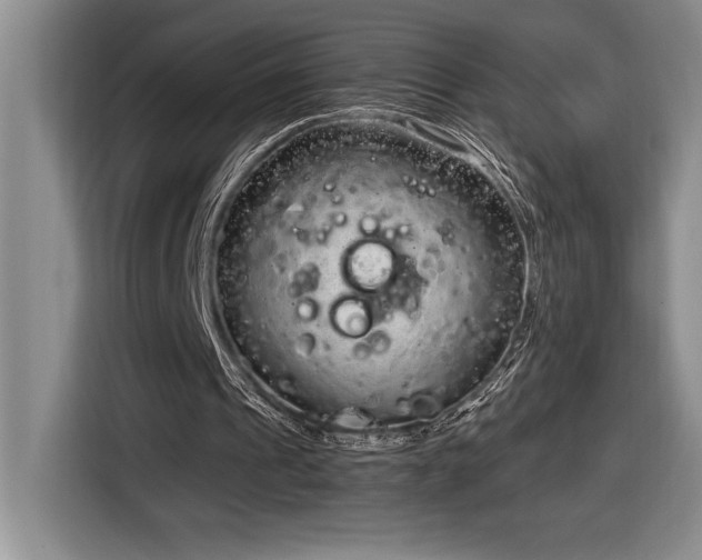X0000116860241200912221144