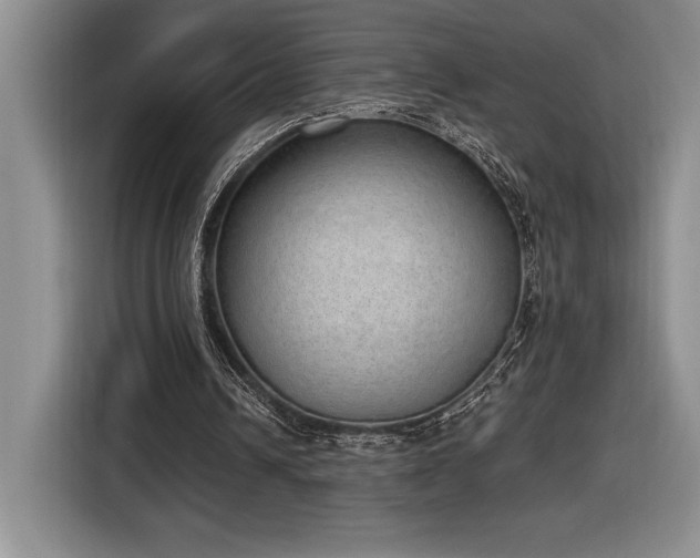 X0000116860242200912221144