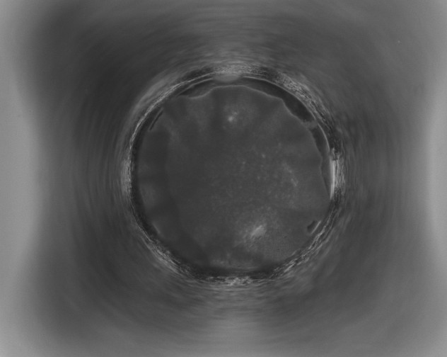 X0000116860243200912221144