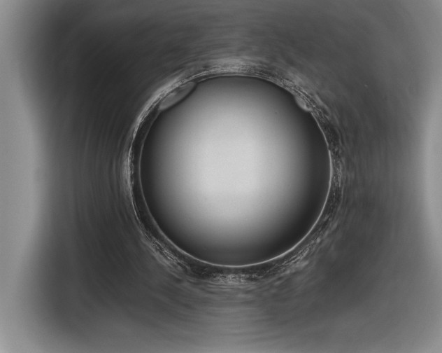 X0000116860244200912221144