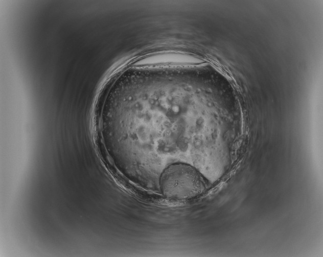 X0000116860245200912221144