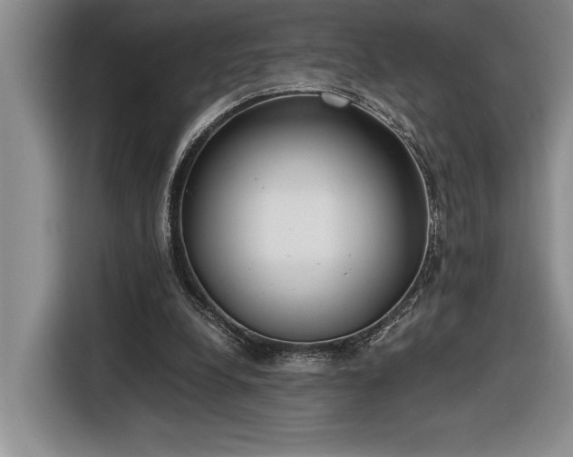 X0000116860248200912221144