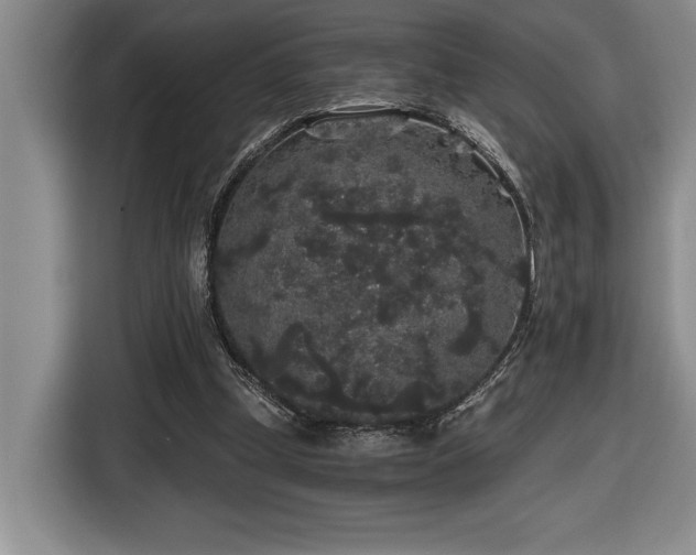 X0000116860249200912221144