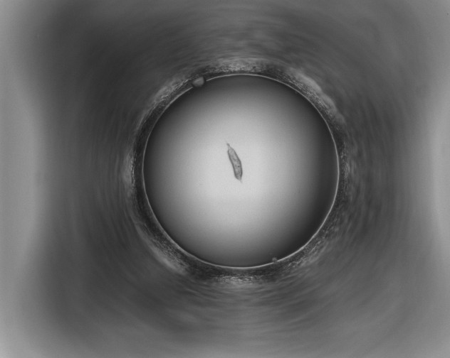 X0000116860250200912221144