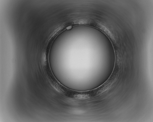 X0000116860251200912221144