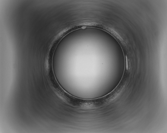 X0000116860252200912221144