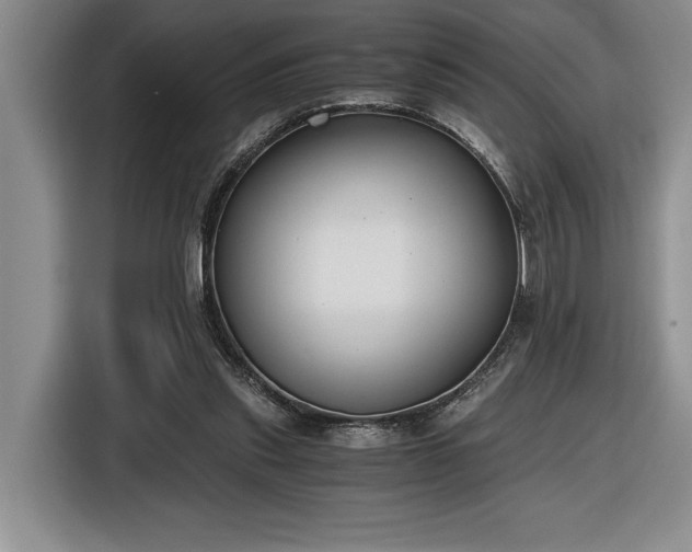 X0000116860253200912221144