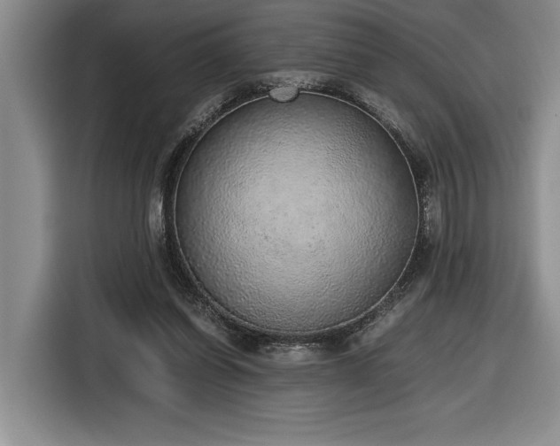 X0000116860254200912221144