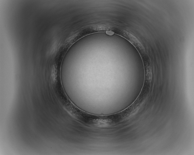 X0000116860255200912221144