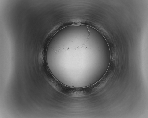 X0000116860256200912221144