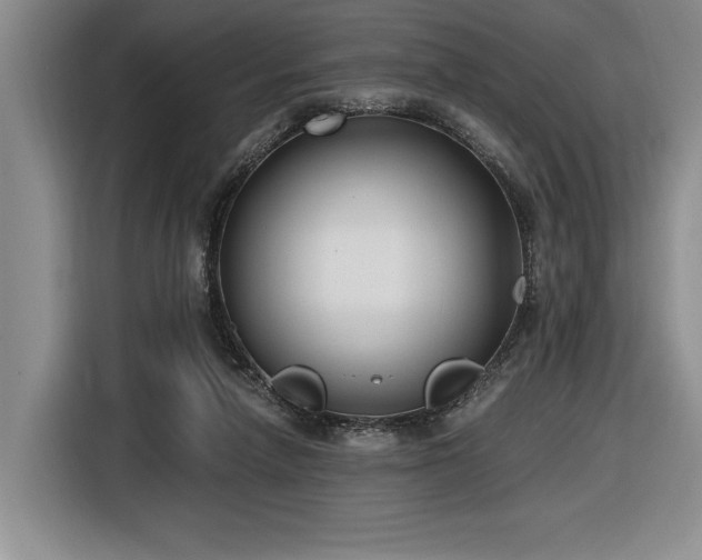 X0000116860258200912221144