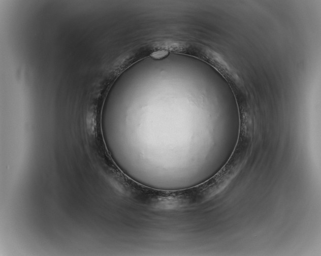 X0000116860259200912221144