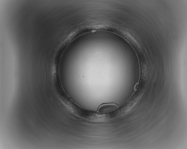 X0000116860260200912221144