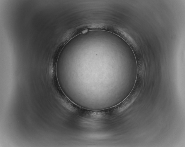 X0000116860261200912221144