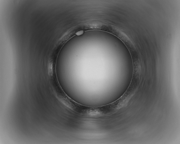 X0000116860262200912221144