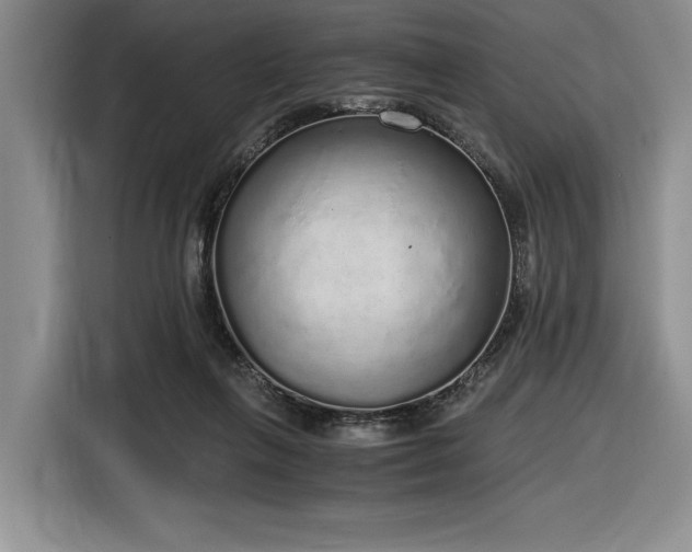 X0000116860263200912221144