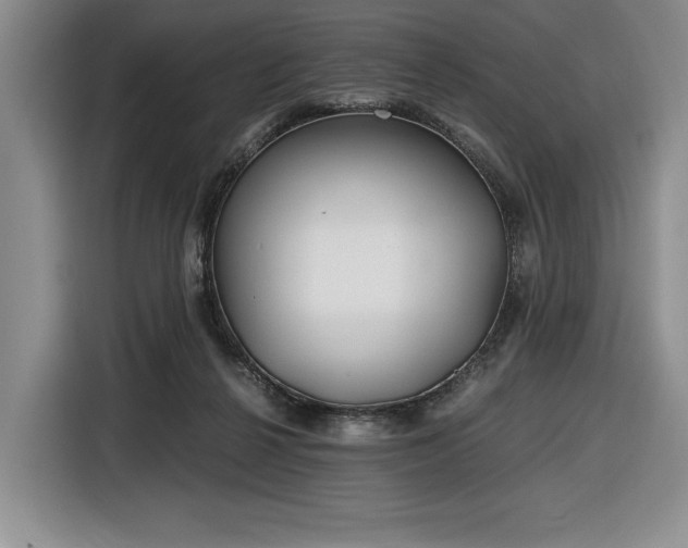X0000116860264200912221144