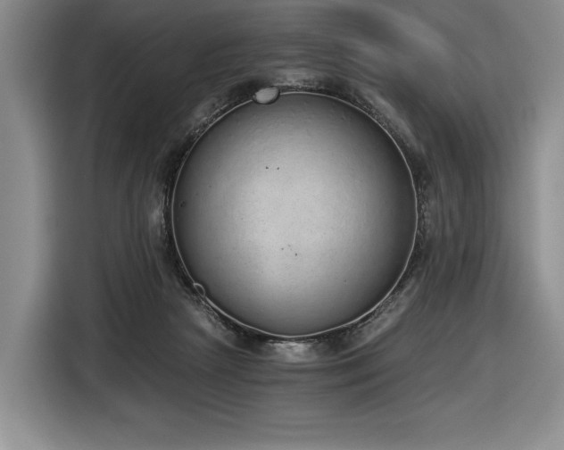X0000116860265200912221144