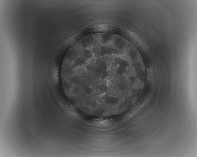 X0000116860267200912221144